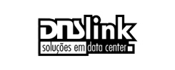DNS Link